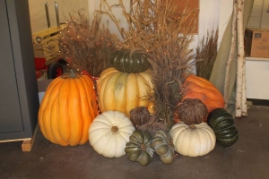 Decorations at the Pavilion